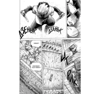 Alternative view of Сага про Вінланд Том 1